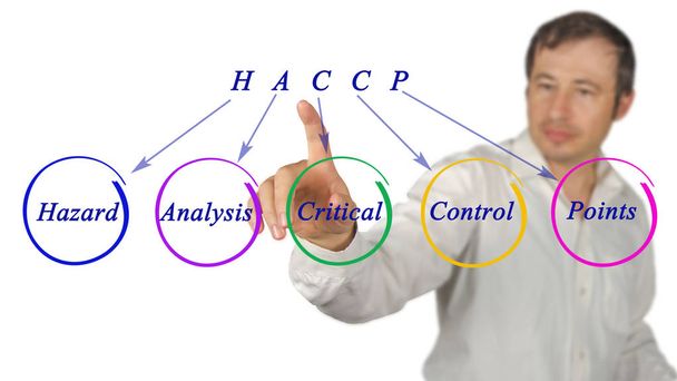 Diagram of HACCP Regulatory Requirements - Photo, Image