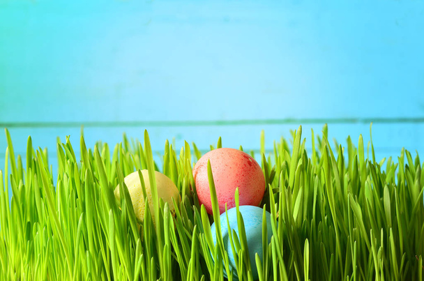 Farbige Ostereier auf grünem Gras - Foto, Bild