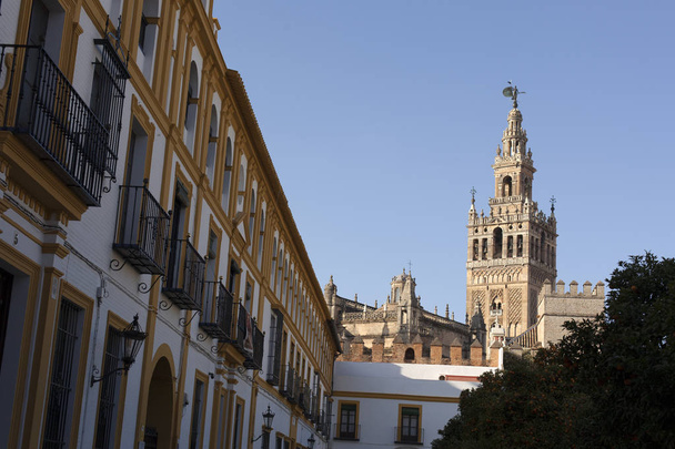 Seville, old town, historic buildings. Spain. - Zdjęcie, obraz