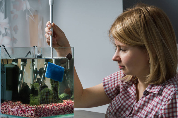 Giovane donna pulizia acquario con beta pesci a casa
. - Foto, immagini