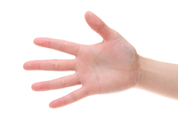 woman hand palm closeup - Zdjęcie, obraz