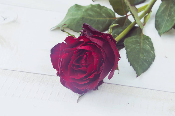 День святого Валентина фон сердца  - Фото, изображение