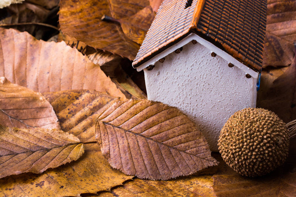 Posti di casa di modello piccoli su foglie di autunno
 - Foto, immagini