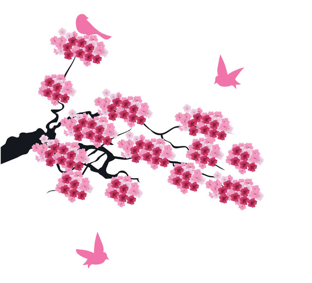 Vector cherry blossom - Vector, afbeelding