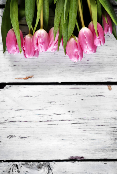 Jarní pozadí s copy a růžové jarní květiny - Fotografie, Obrázek