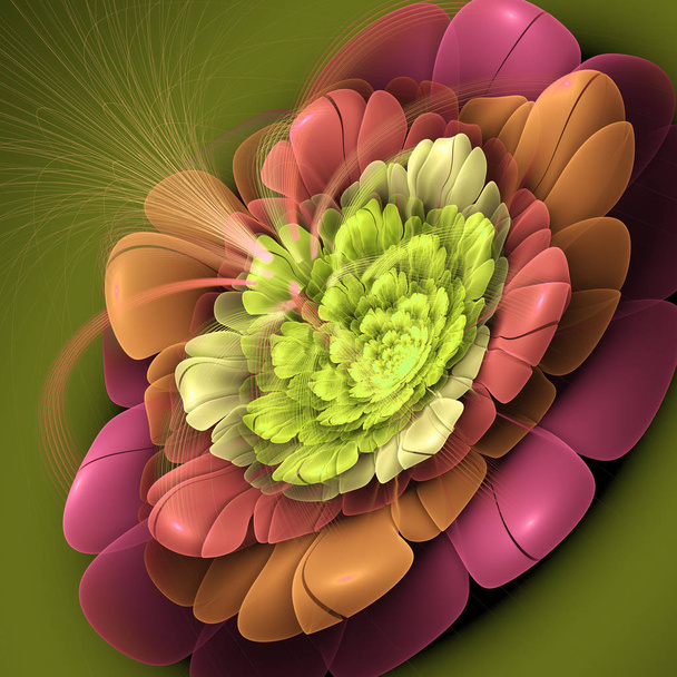 Exotic flower with large petals.  - Foto, Imagen