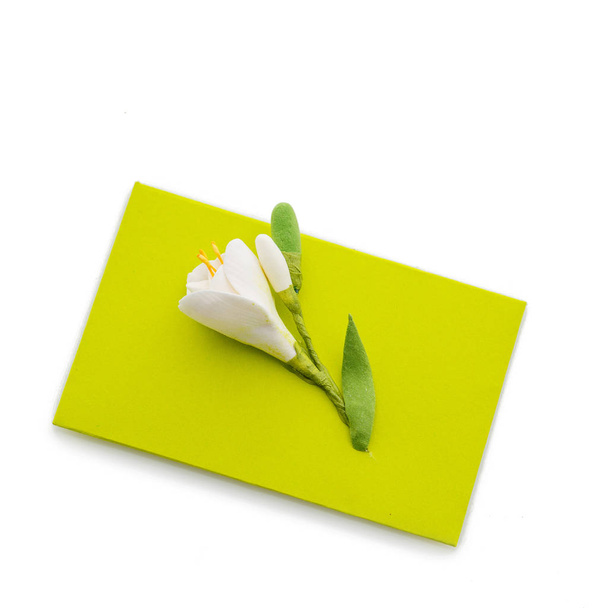 Закрыть зеленой эмалью с цветком
 - Фото, изображение