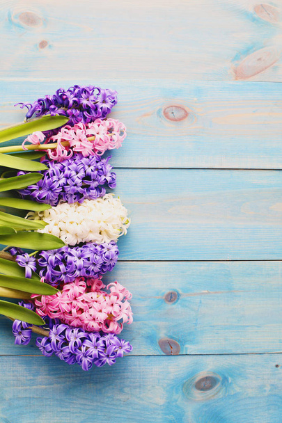 bordure de fleurs de hyacinthe
   - Photo, image