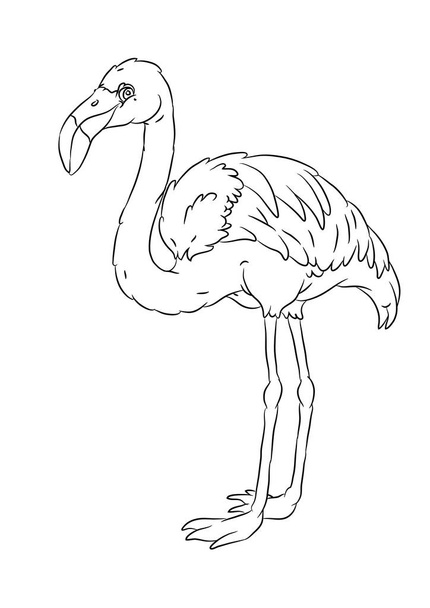 happy smiling cartoon standing flamingo coloring page - ベクター画像