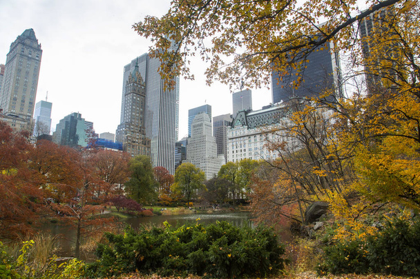 Нью-Йорк - Центральний парк - Фото, зображення