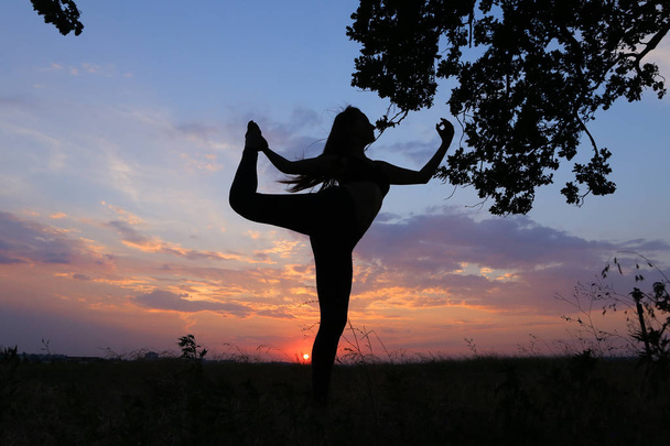 Slim girl showing various poses and dancing in field outdoors on - Photo, Image