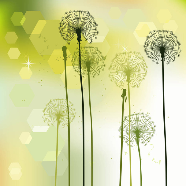 floral background, meadow, dandelion, vector illustration - Vector, Image