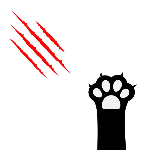 Gato negro pata
 - Vector, imagen