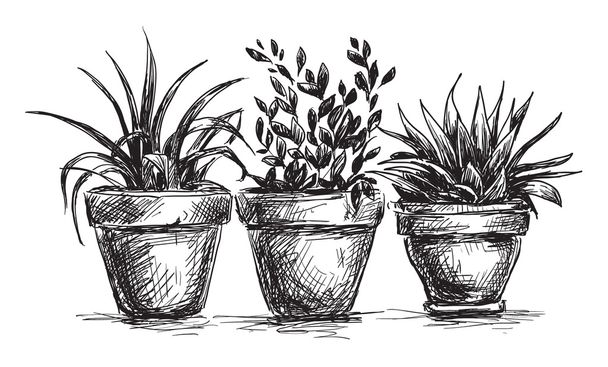 Pots de fleurs
 - Vecteur, image