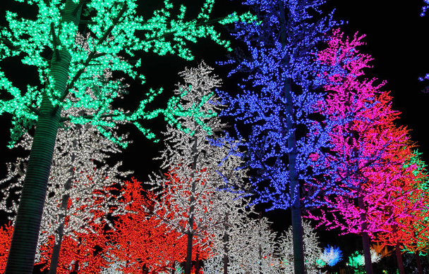 Righe di colorati alberi LED decorazione
 - Foto, immagini