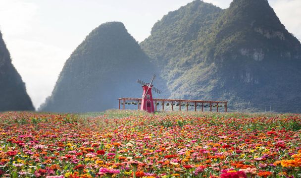 Beautiful flower field with small windmill - Photo, Image