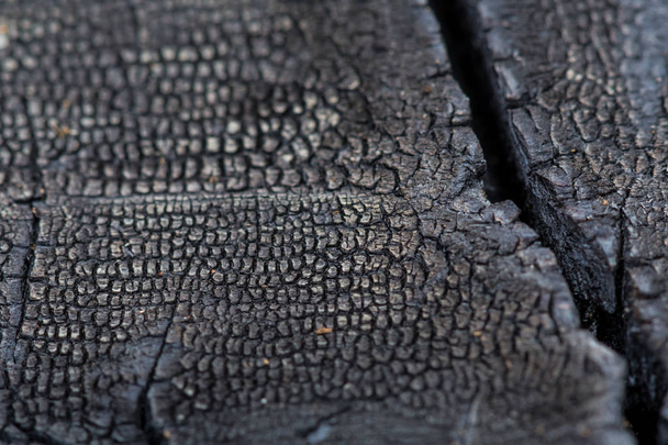 Μαύρη Char του καμένου ξύλου - Φωτογραφία, εικόνα
