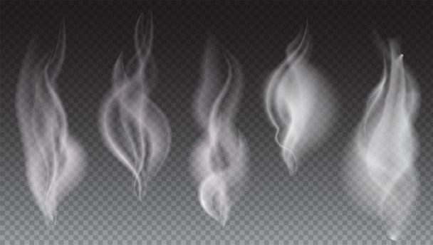 透明な白い煙の波 - ベクター画像