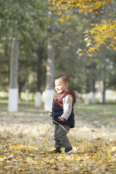 Китайська дитина хлопчик грає палиці в Олімпійському парку ліс - Фото, зображення