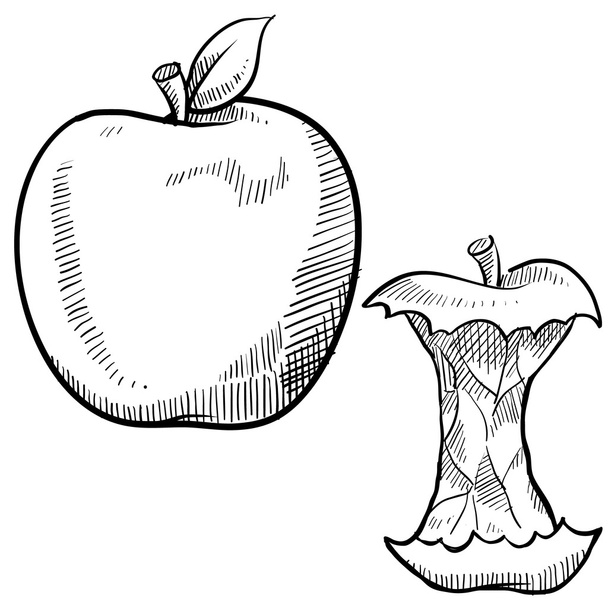 Apfel und Apfelkern-Sketch - Vektor, Bild