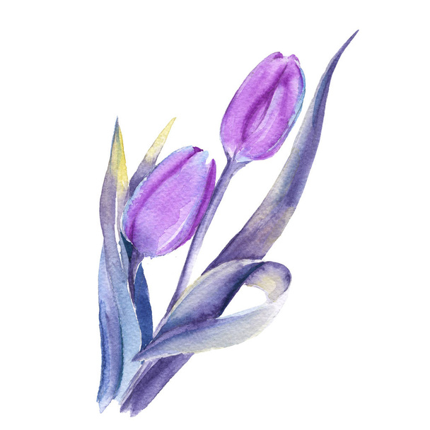 Bouquet tulips. Isolated on white background.  - Zdjęcie, obraz