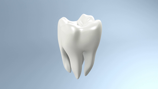 Белые чистые зубы
 - Кадры, видео