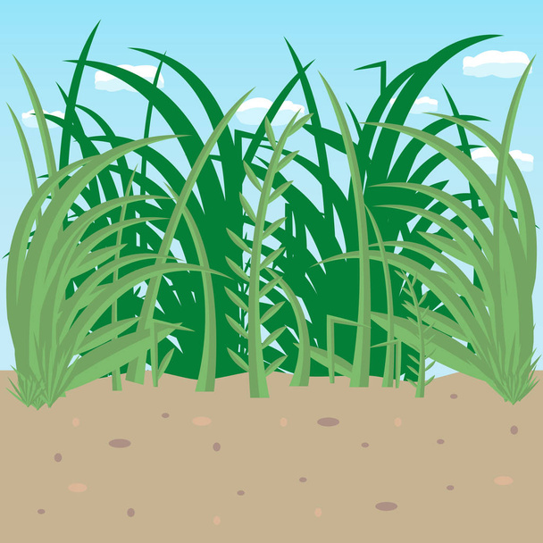 lawn on a background of blue sky - Vector, Image
