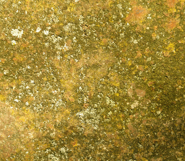 Old rusty metal texture. - Foto, Imagem
