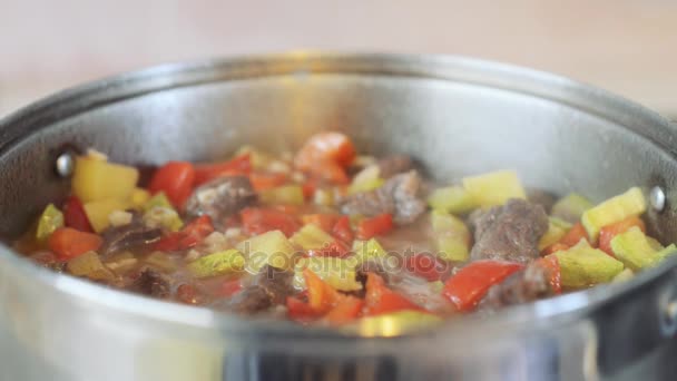 Βόειο κρέας κατσαρόλας με λαχανικά ή γκούλας, παραδοσιακό ουγγρικό γεύμα - Πλάνα, βίντεο