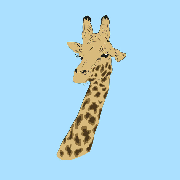 Girafe vue Vektor
 - Vecteur, image