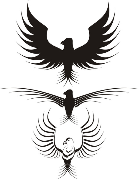 Ilustração da águia
 - Vetor, Imagem
