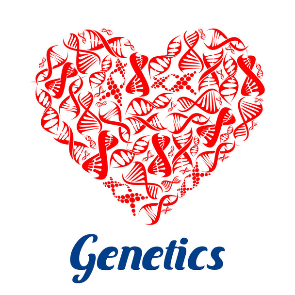 Coeur rouge avec symboles ADN
 - Vecteur, image