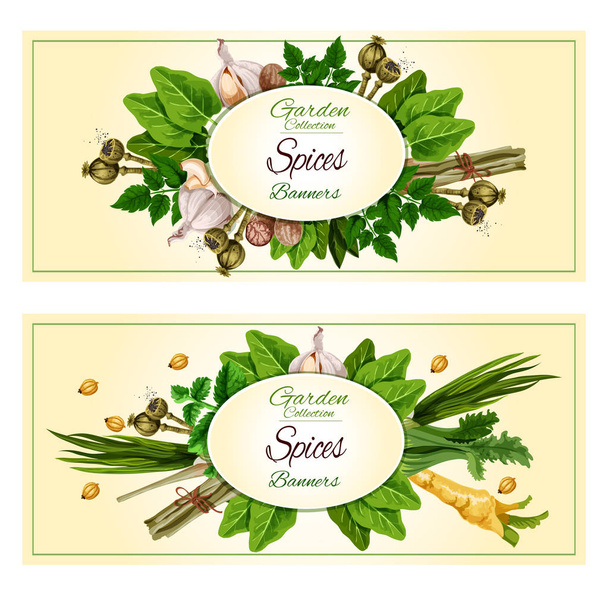 Набор баннеров специй и трав для дизайна продуктов питания
 - Вектор,изображение