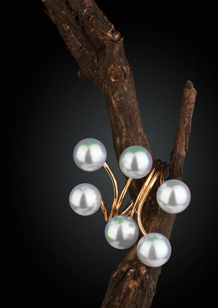 Jewelry ring with pearl on twig, black background - Fotografie, Obrázek