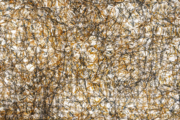 Абстрактне зображення множини переплетених ниток
 - Фото, зображення
