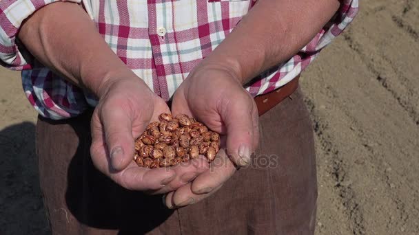 Semena v rukou farmář, symbol zdraví a zdroje organické potraviny - Záběry, video
