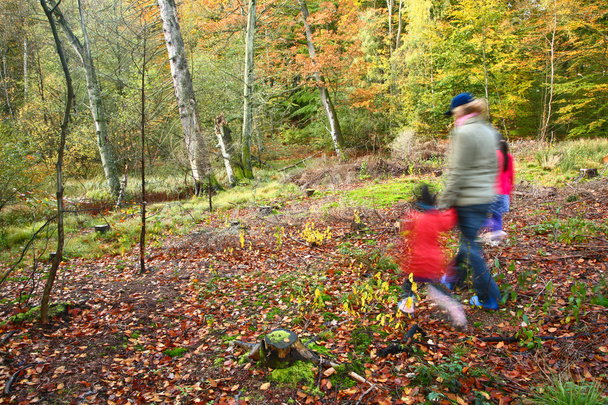 Family walk in the forest - Fotografie, Obrázek
