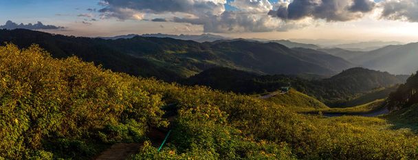 Blick auf Berggipfel, Nadelwald. Panorama - Foto, Bild