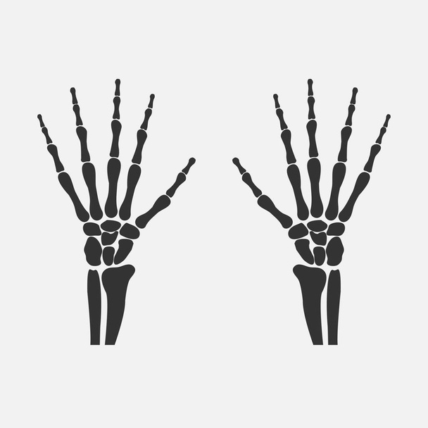 csukló kéz csontjai - Vektor, kép