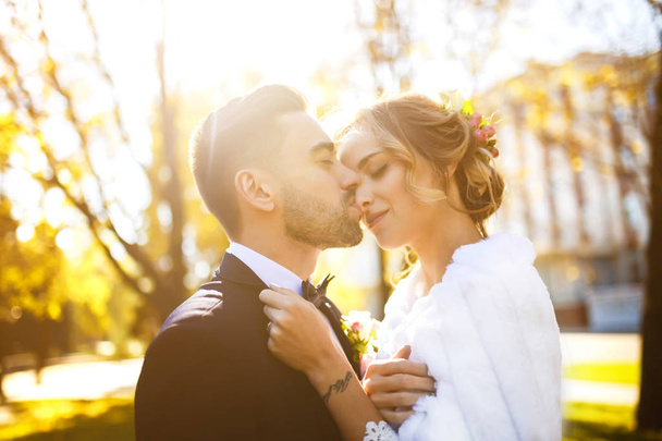 Bride and groom kisses tenderly in the shadow of a flying veil .beautiful pictures. guys enjoy. Sexy kissing stylish couple of lovers close up portrait - Photo, image