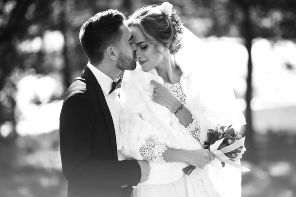 Bride and groom kisses tenderly in the shadow of a flying veil .beautiful pictures. guys enjoy. Sexy kissing stylish couple of lovers close up portrait - Photo, Image