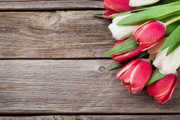 vörös és fehér tulipán  - Fotó, kép