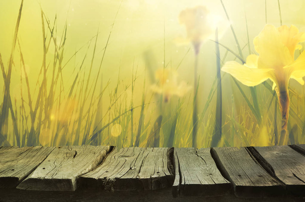 Narzissen Frühling Hintergrund - Foto, Bild