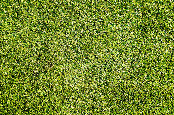 Zöld fű focipálya háttér - Fotó, kép