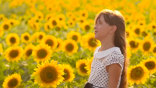 rüzgarda uçan saçlı güzel genç kız yürüyor sarı ayçiçeği alan güzel altın çiçeklerle dolu bir alanda yaz güneşli gün. - Video, Çekim