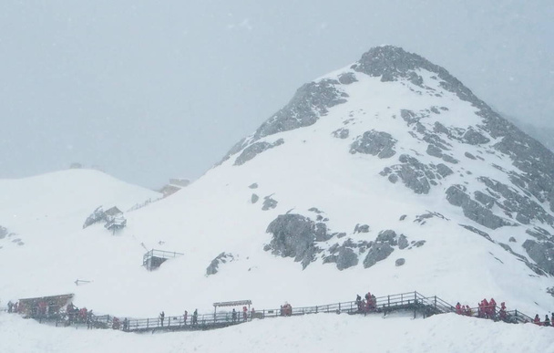 νεφρίτης δράκο χιόνι στο βουνό - Φωτογραφία, εικόνα