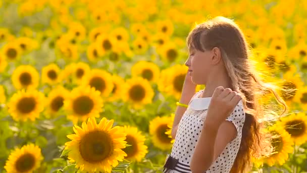 lány haját szél repülő mező sárga napraforgó, a nyári napsütésben, - Felvétel, videó