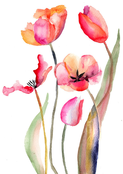 Tulips flowers - Foto, imagen