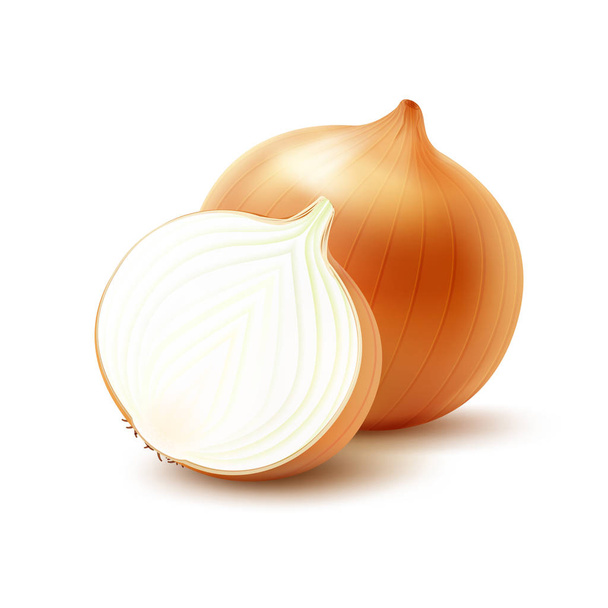 Vector Fresh Whole and Sliced Yellow Onion Bulbs Close up Isolated on Background - Vector, Image