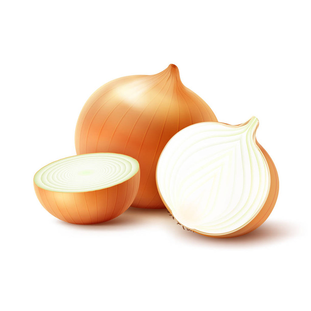 Vector Whole and Sliced Yellow Onion Bulbs Close up Isolated on White Background - Vector, Image